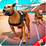 Crazy Dog Race