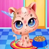 Cute Kitty Care - Pet Makeover