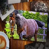 Jigsaw Puzzle Horses Edition