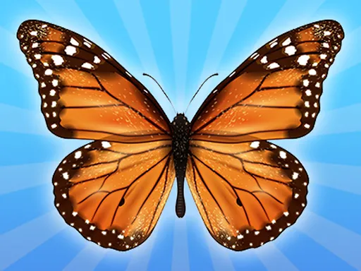 BirleştirmeButerfly: 2048!