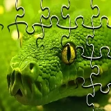 Snakes Jigsaw Puzzle